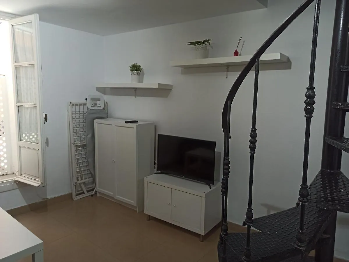 Duplex Cadiz Centro Apartment 0*,  Spain